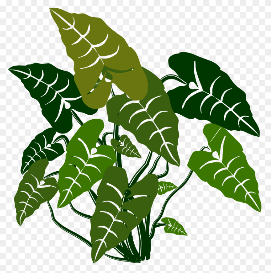 Vines Clipart Greenery - Corner Bor