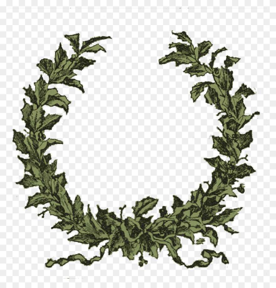 Vines Clipart Greenery - Corner Bor