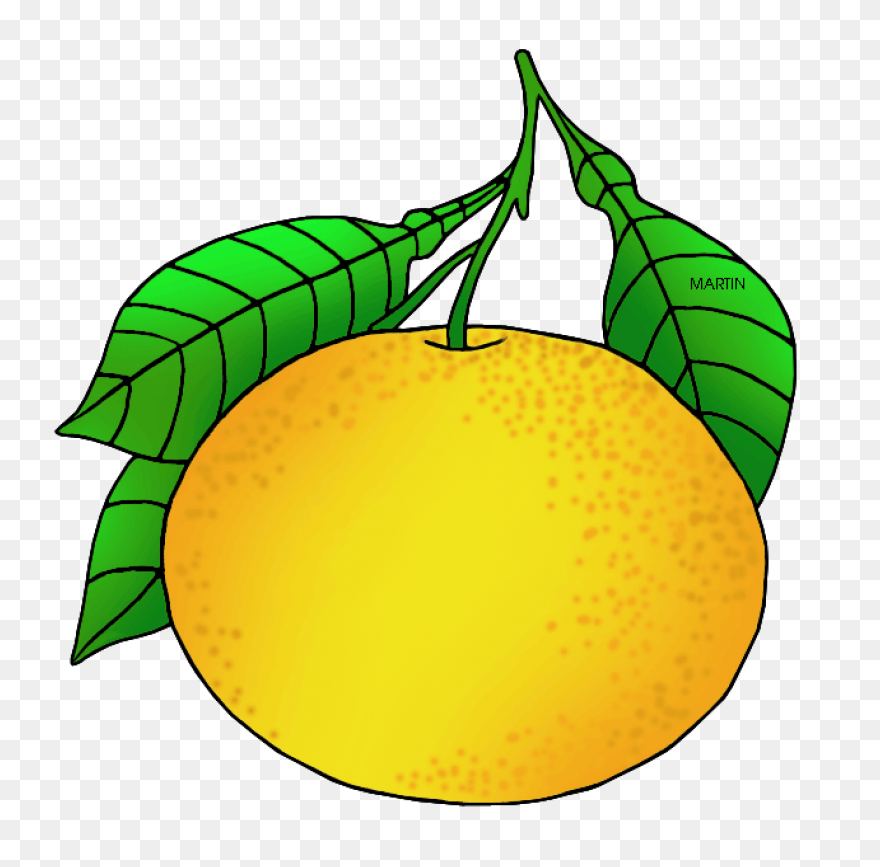 Flavor, Flavored, Fruit, Grapefruit
