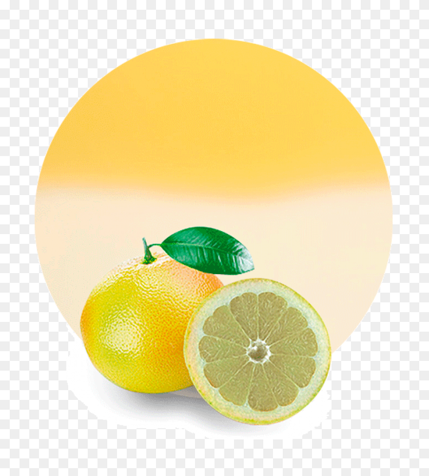 White Grapefruit Concentrate Manufacturer & - Grapefruit
