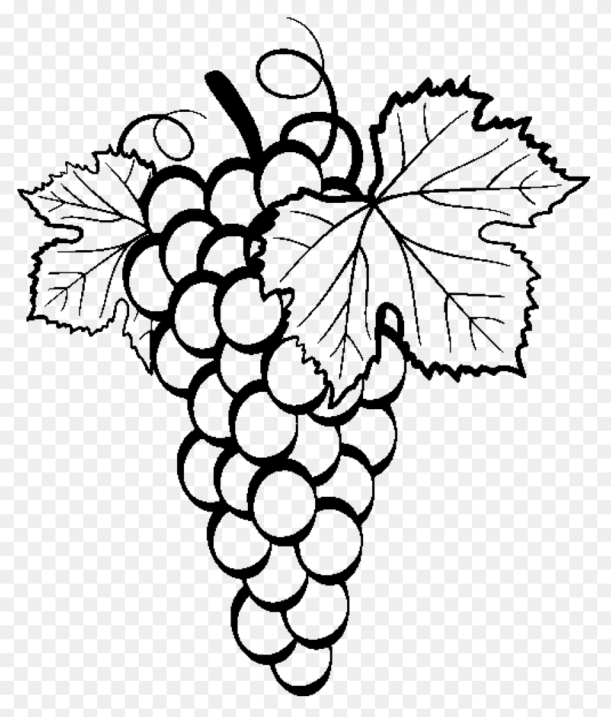 Grape Vines Clip Art Image - Clipsa