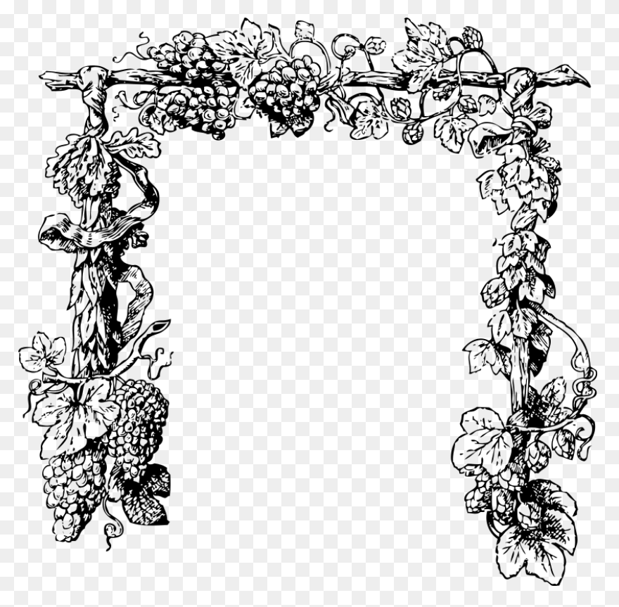 Grape Vines Clip Art Image - Clipsa