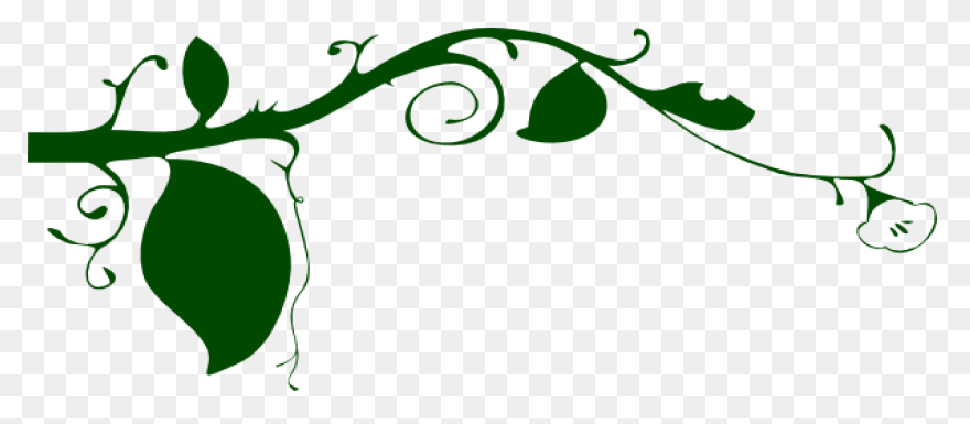 Download Green Curvy Frame Curvy Fr