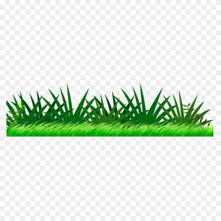 Border Grass Greens Jungle Plants - Grass Border