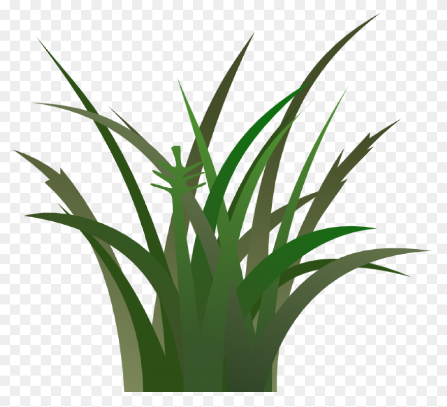 Free Grass Border Cliparts, Downloa