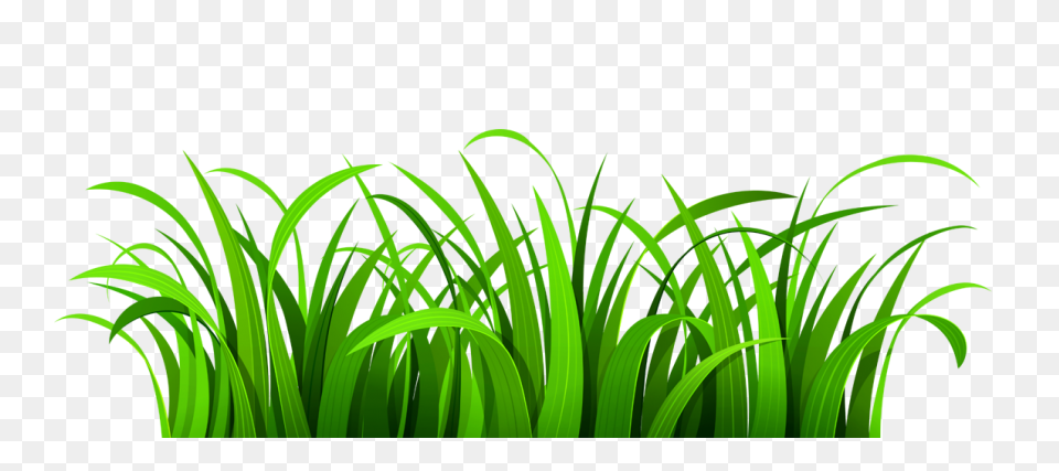Free Grass Border Cliparts, Downloa