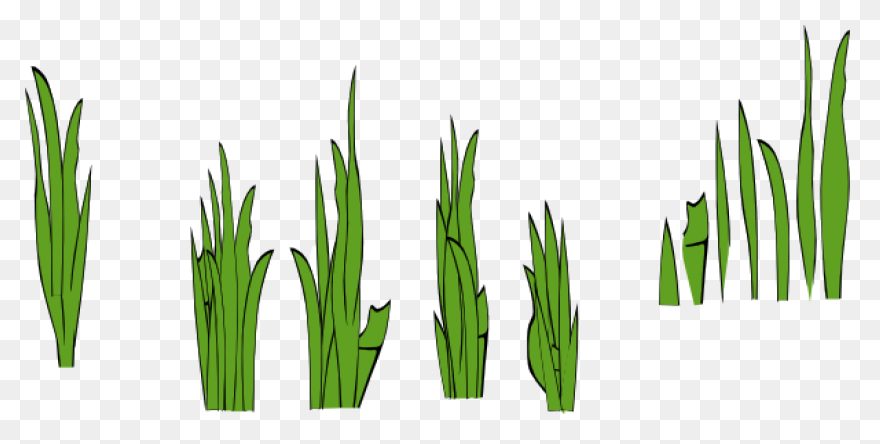 Free Grass Border Cliparts, Downloa