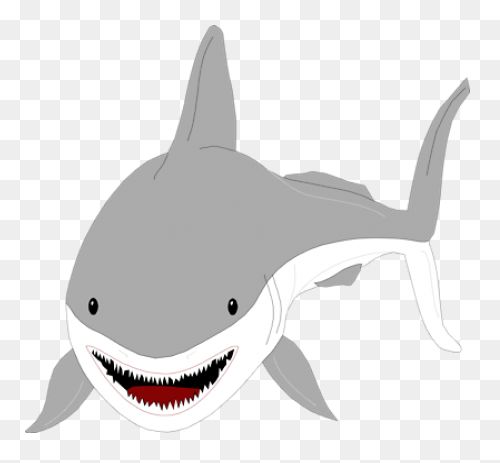 Great White Shark Clipart High Reso