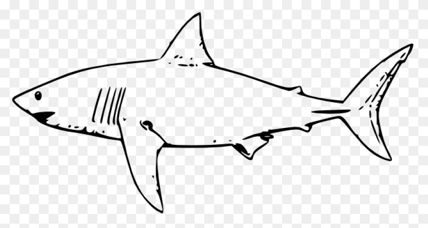 Great White Shark Clipart High Reso