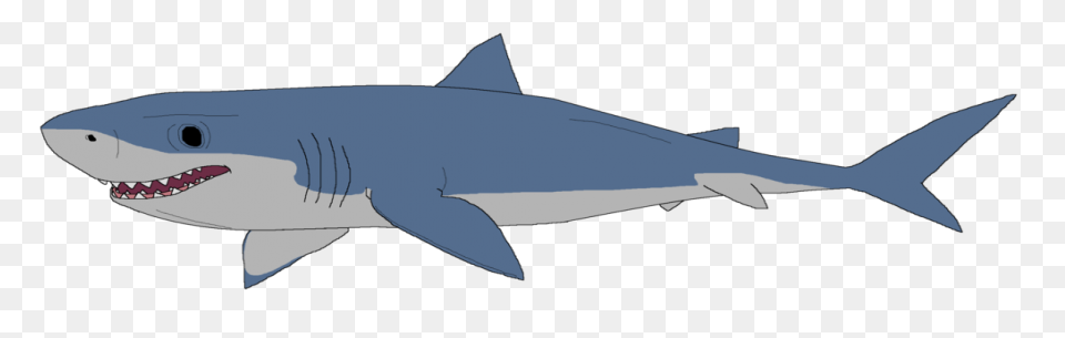 Great White Shark Clipart High Reso