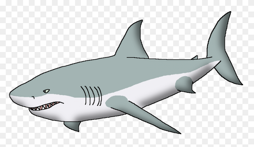 Great White Shark Clipart High Reso