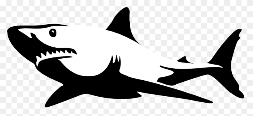 Great White Shark Clipart High Reso