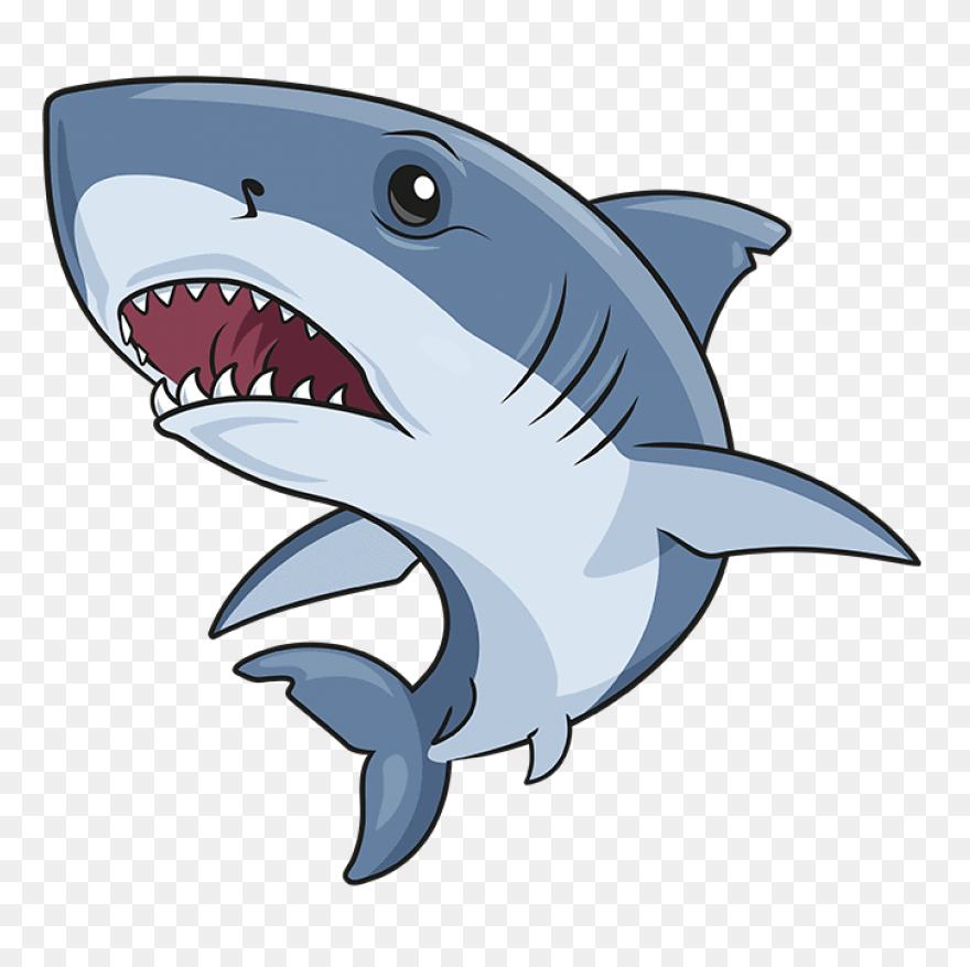 Great White Shark Clipart High Reso
