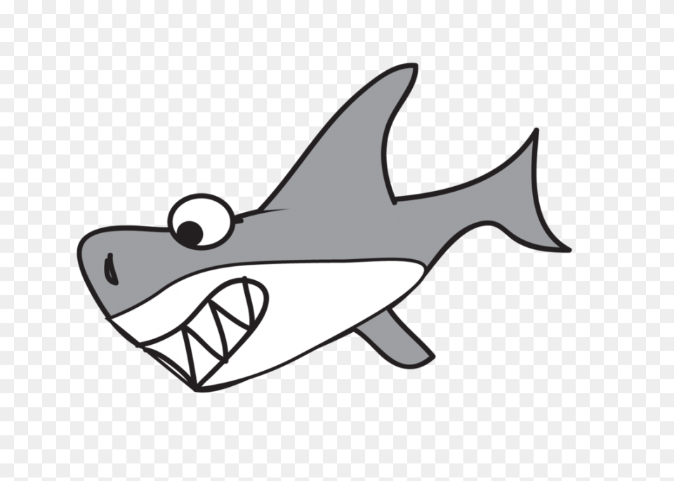 Shark Fish Great White Tiger - Great White Shark