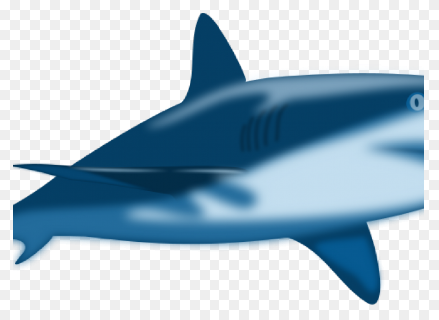 Great White Shark Clipart High Reso