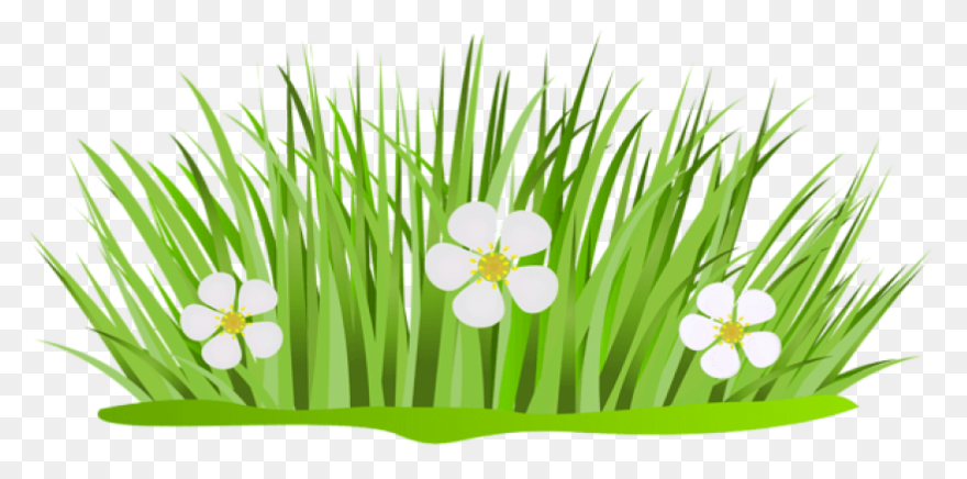 Green Grass Background Clipart - Dr