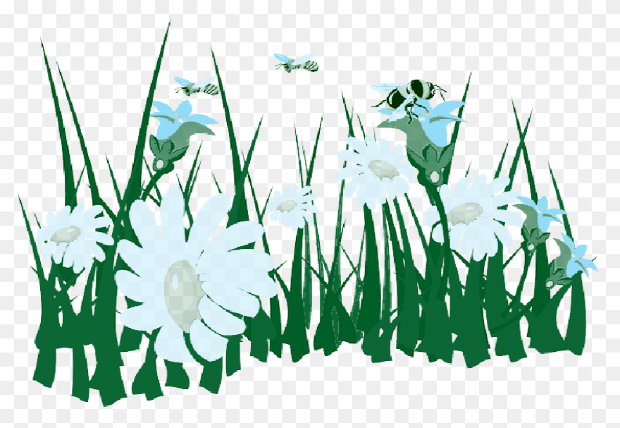 Green Grass Background Clipart - Dr