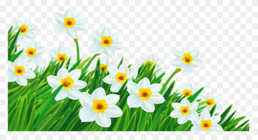 Green Grass Background Clipart - Dr