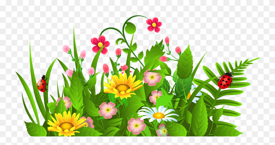 Green Grass Background Clipart - Dr