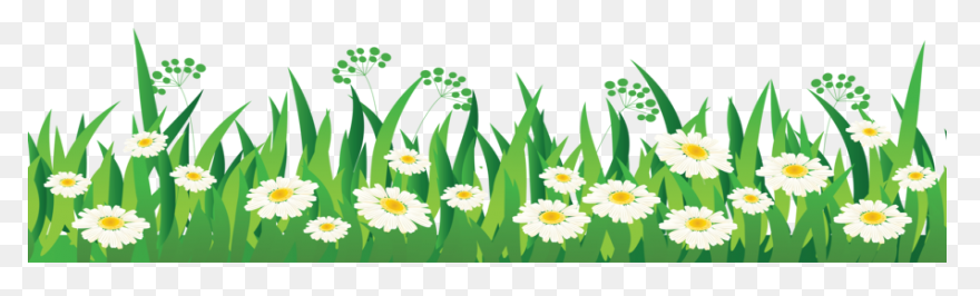 Green Grass Background Clipart Drawing - Grass Flower