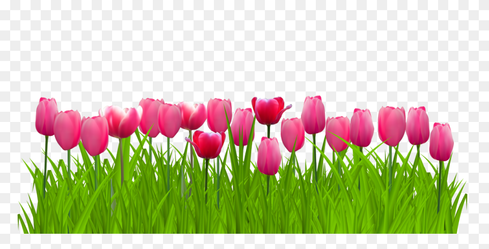 Green Grass Background Clipart - Dr