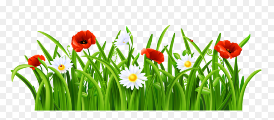 Green Grass Background Clipart - Dr