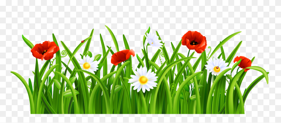 Green Grass Background Clipart - Dr
