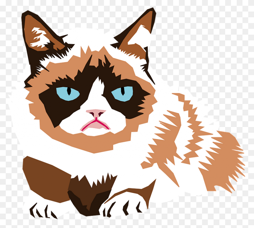 Image - 513689] | Grumpy Cat | Know