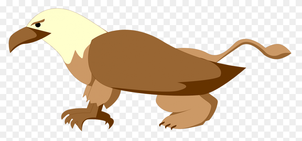 The Griffin Illustrations Expand Up