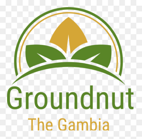 Cartoon, Food, Groundnut, Natural, 