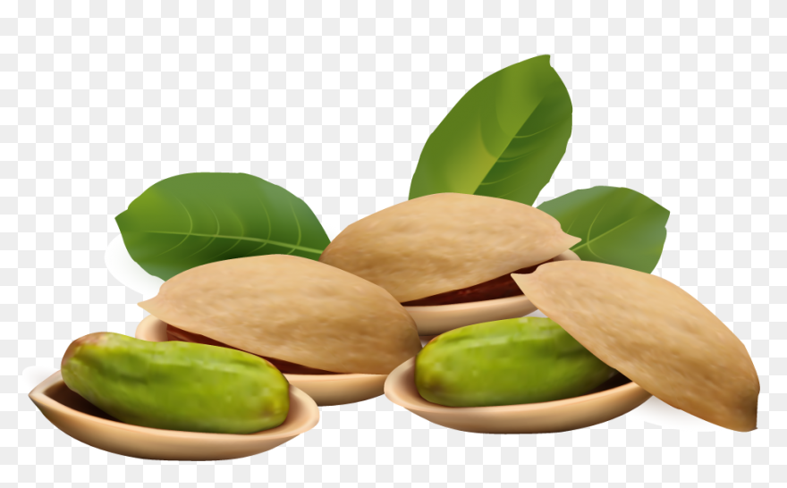 Cartoon, Food, Groundnut, Natural, 