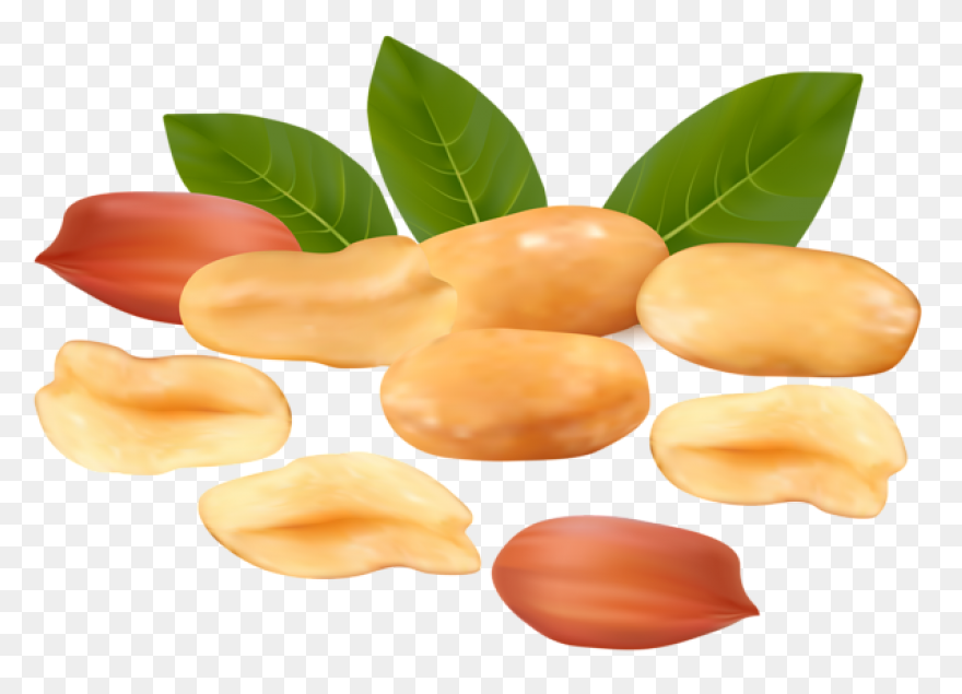 Cartoon, Food, Groundnut, Natural, 