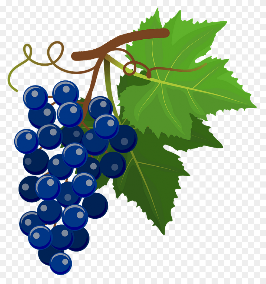 Grapes Clipart 3 - ClipartFlare Cli