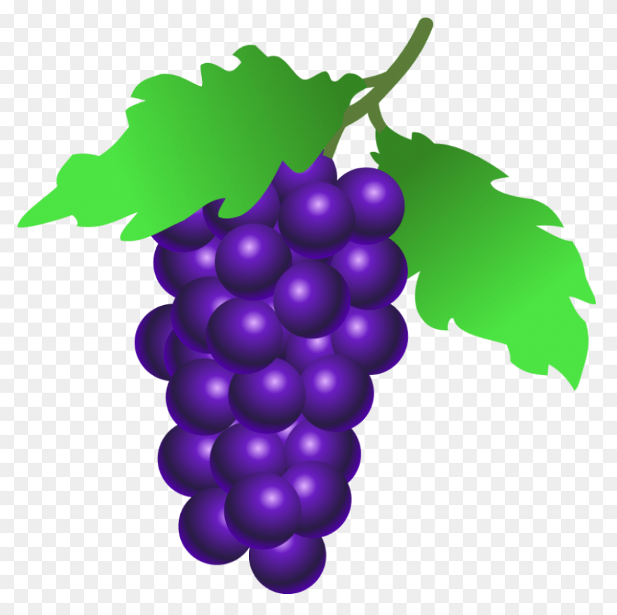 Grapes Clipart 3 - ClipartFlare Cli