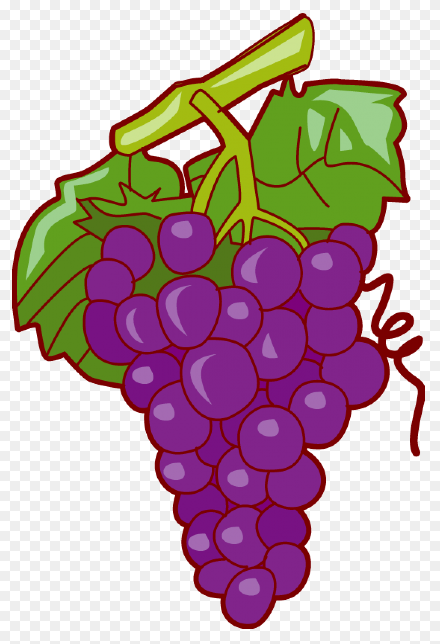 Grapes Clipart 3 - ClipartFlare Cli