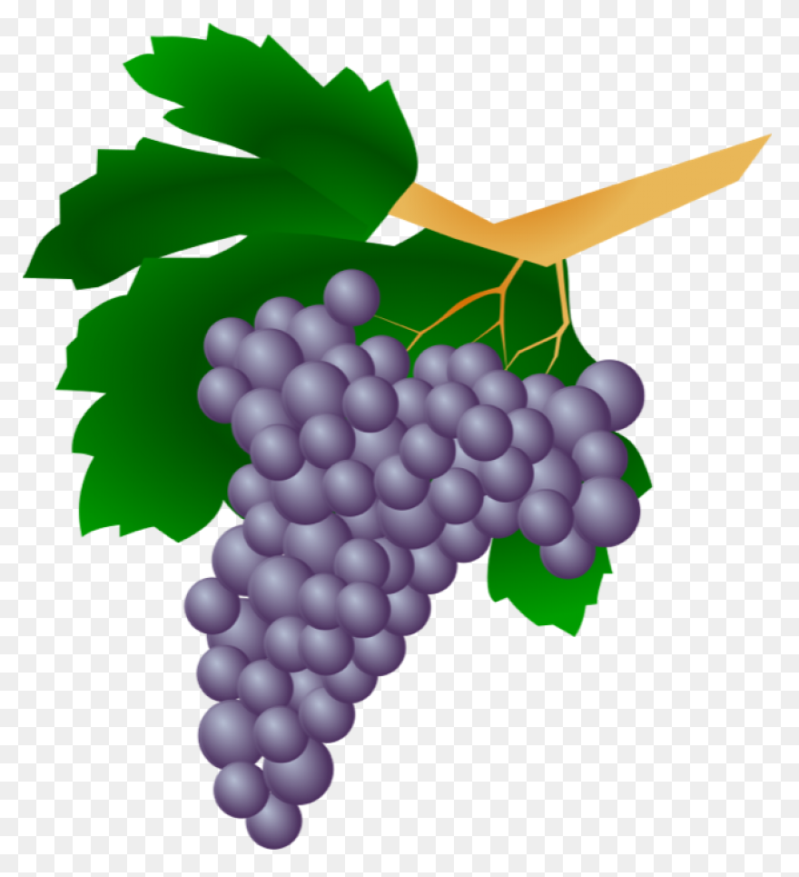 Grapes Clipart 3 - ClipartFlare Cli