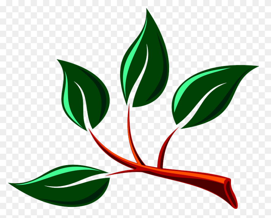 Free Green Leaf Transparent Backgro