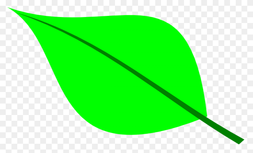 Free Green Leaf Transparent Backgro