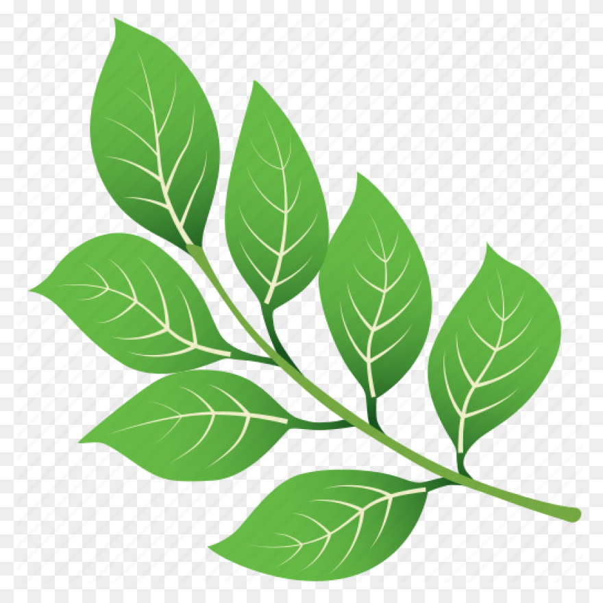 Free Green Leaf Transparent Backgro