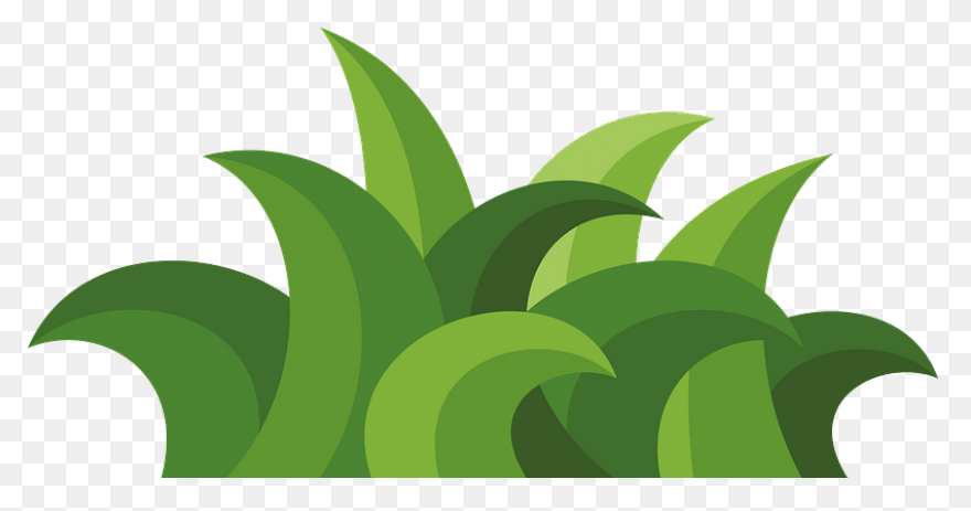 Transparent Grass Background Png - 
