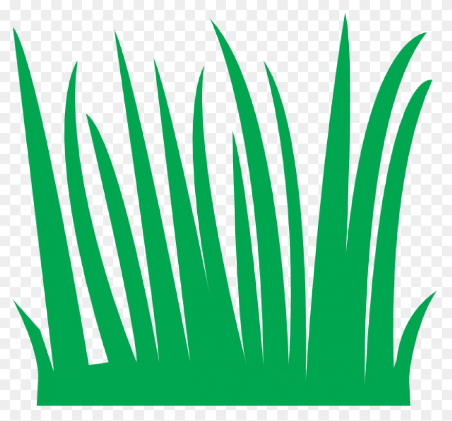 Transparent Grass Background Png - 