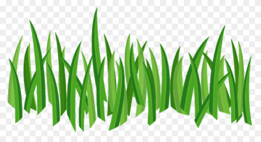 Transparent Grass Background Png - 