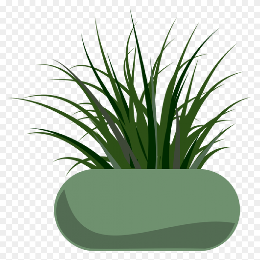 Free Download Grass Images Clip Art
