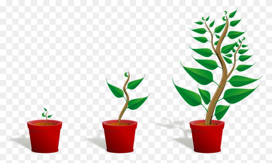 Growth Partners – Restaurant Marketing - Growth