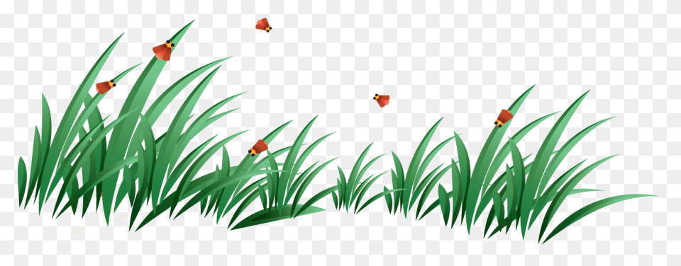 Dew On The Grass, 162.7 Kbyte, V.0.