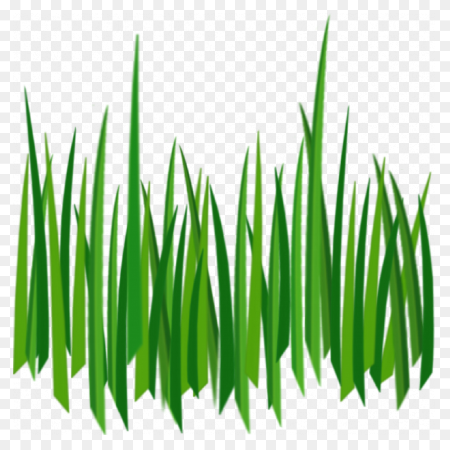 Dew On The Grass, 162.7 Kbyte, V.0.