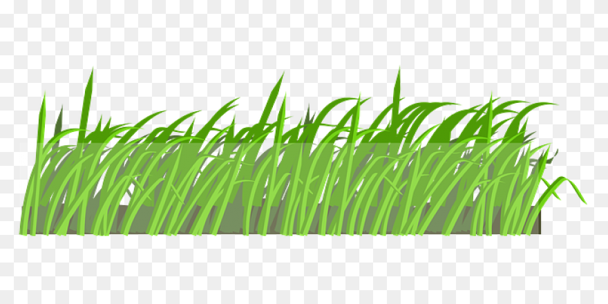 Dew On The Grass 162.7 - Grass Hd