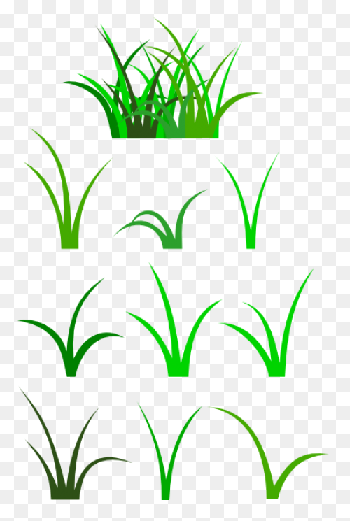 Dew On The Grass, 162.7 Kbyte, V.0.