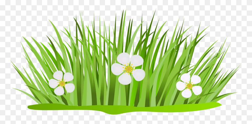 Dew On The Grass, 162.7 Kbyte, V.0.