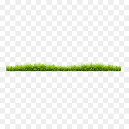 Dew On The Grass, 162.7 Kbyte, V.0.